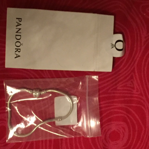 BRAND NEW Pandora Bracelet - Picture 2 of 3